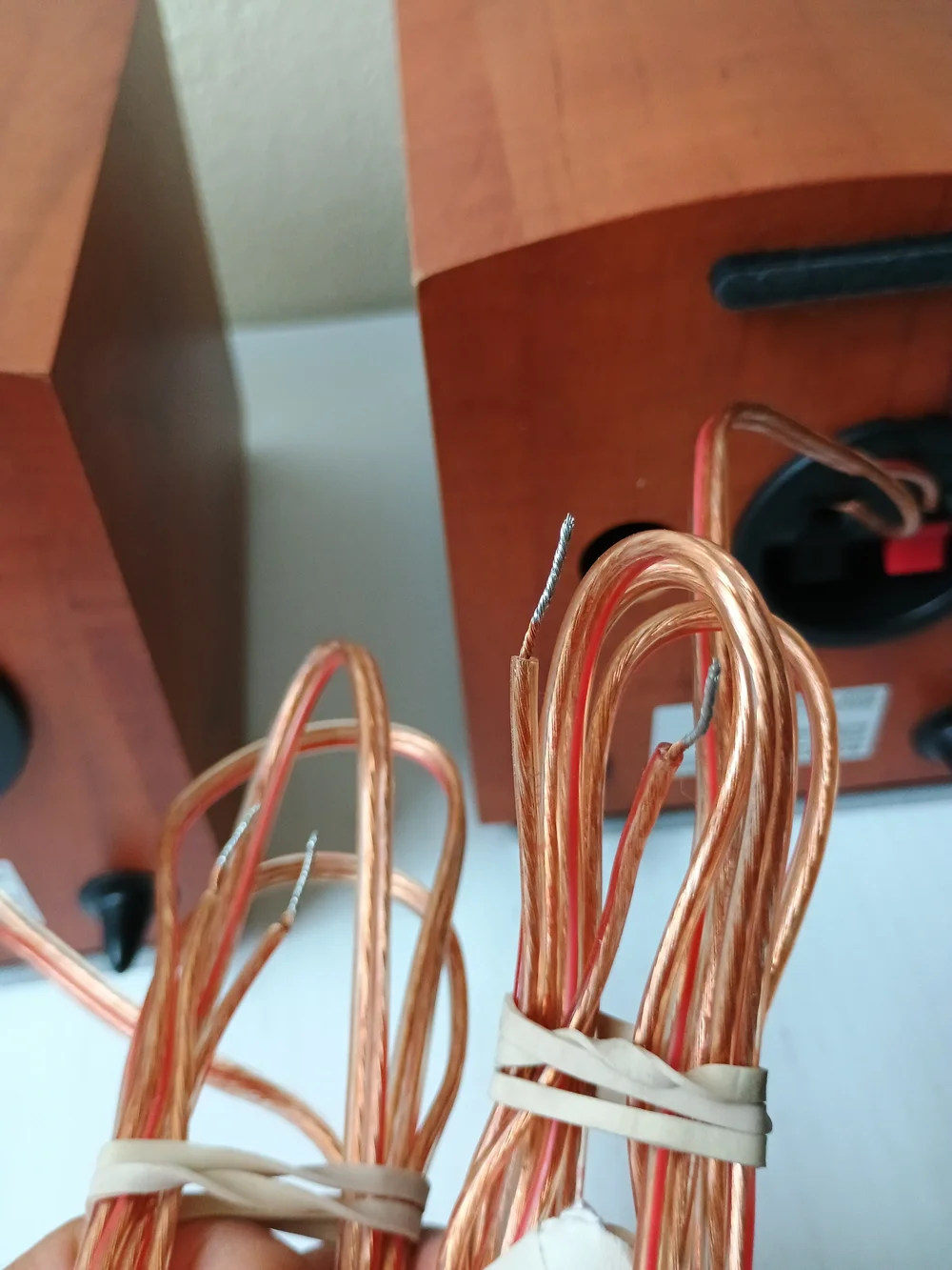 Sony SS-CEX100 Woodengrain Bookshelf Speakers Set Of 2